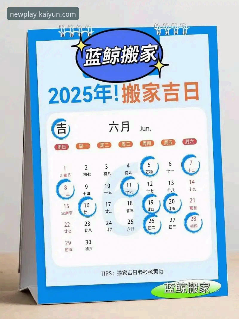 kaiyun体育软件下载完整指南：从入门到精通的使用全攻略